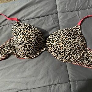 36C Bra